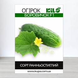 Семена огурца Боровичок F1, 0,5кг